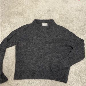 Everlane The Oversized Alpaca Crew